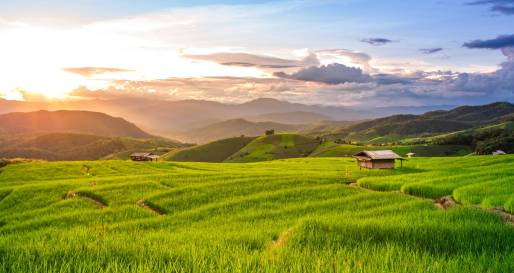 Rural Chiang Mai - Pedal Lanna
