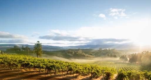 Sonoma County 