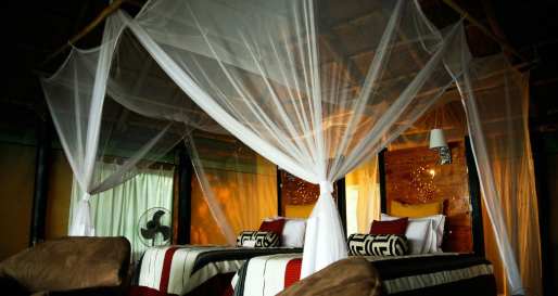 Tented Room - Vundu Camp