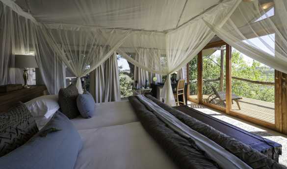 Tubu Tree Camp