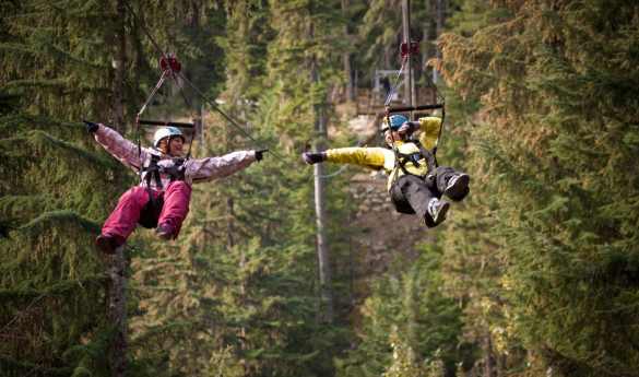 Zip Trek Bear Tour