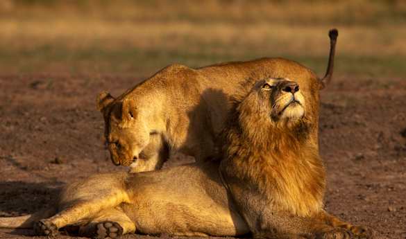 Mara Expedition