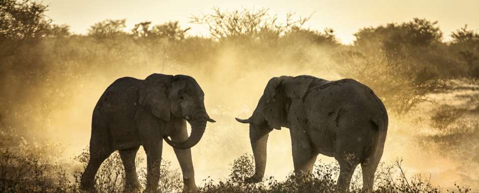 Botswana for Families