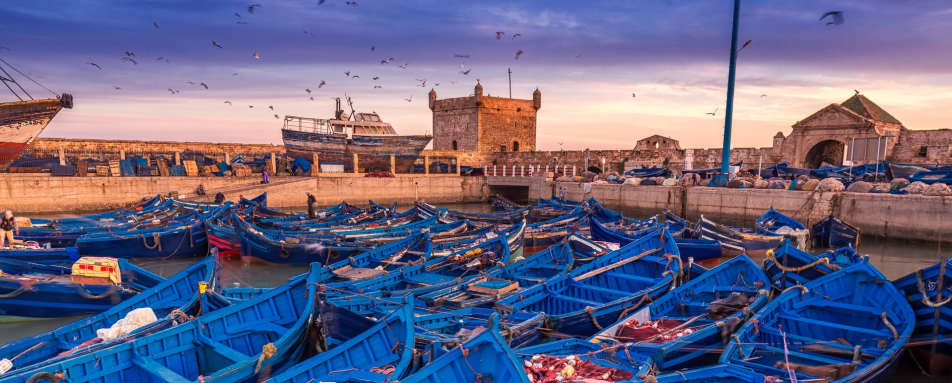 Essaouira and the Atlantic Coast