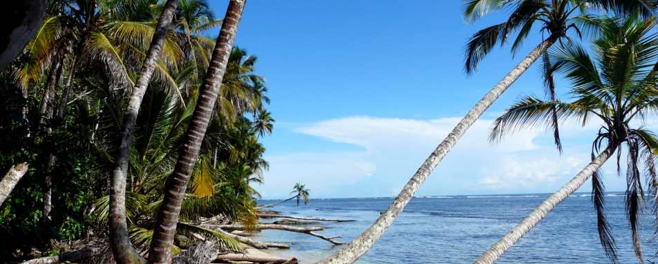 Caribbean Coast