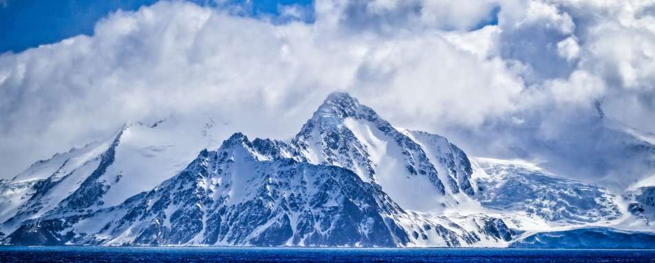 Elephant Island 