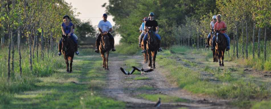 Estancia La Sofia Riding   