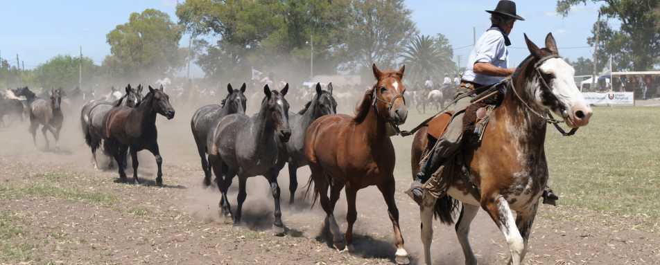 Gaucho lifestyle 