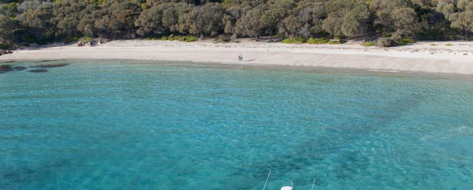 Boat - Saffire