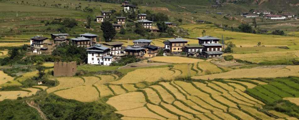 Punakha 