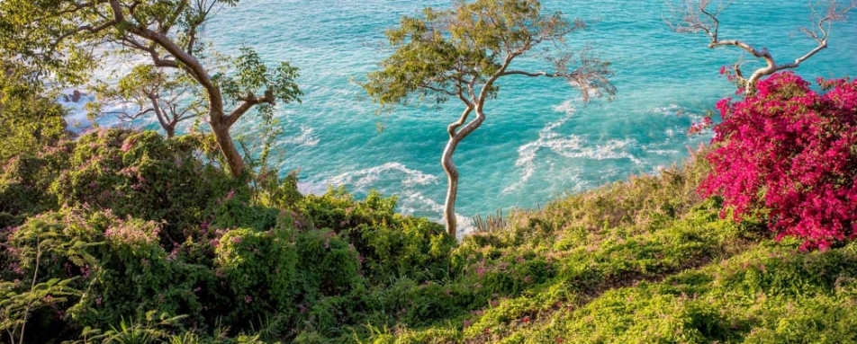 Guana Island  