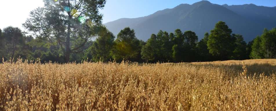 Farm Activities at Vira Vira