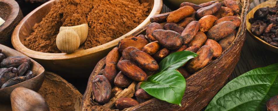 Rum Cacao Tasting