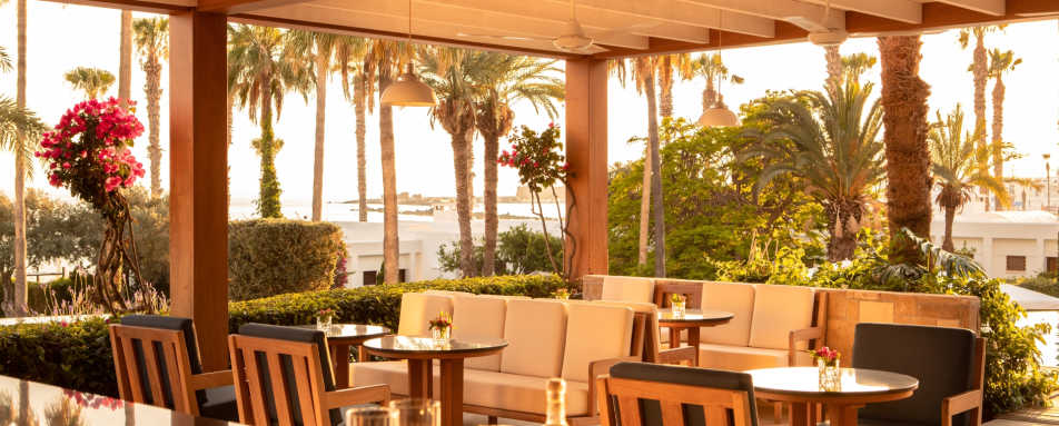 Amorosa Terrace 