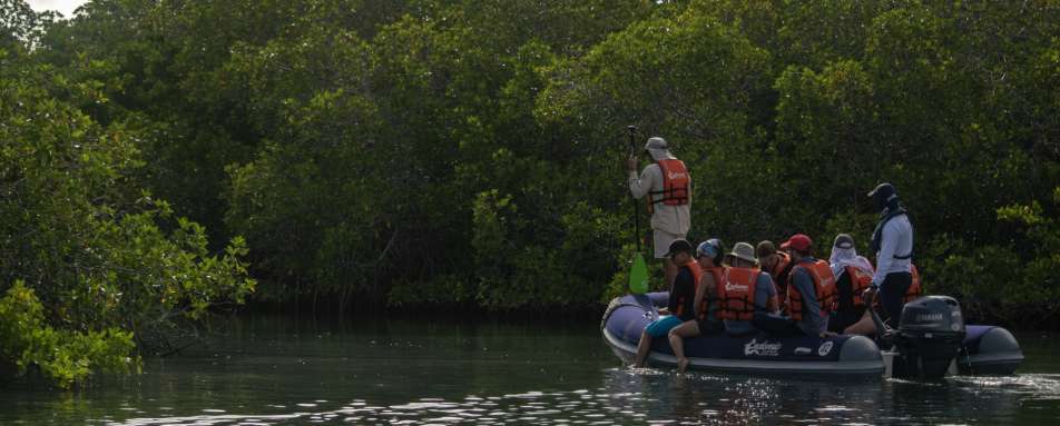 Panga Rides