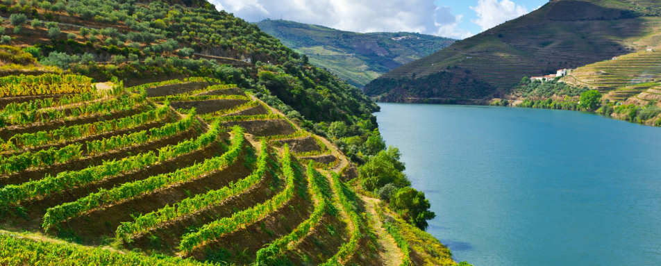 Douro Valley and Northern Portugal