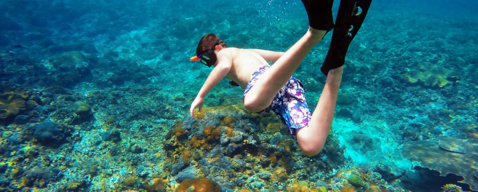 Snorkelling 