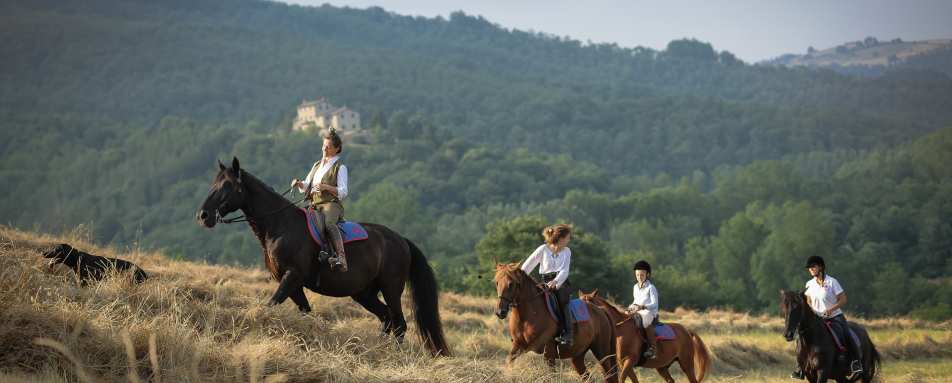 Horse Riding  
