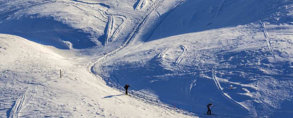 Skiiers 