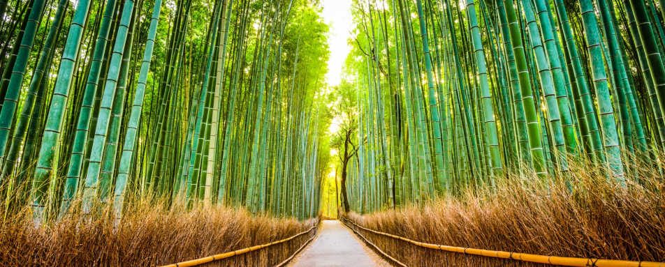 Takenomichi Kyoto 