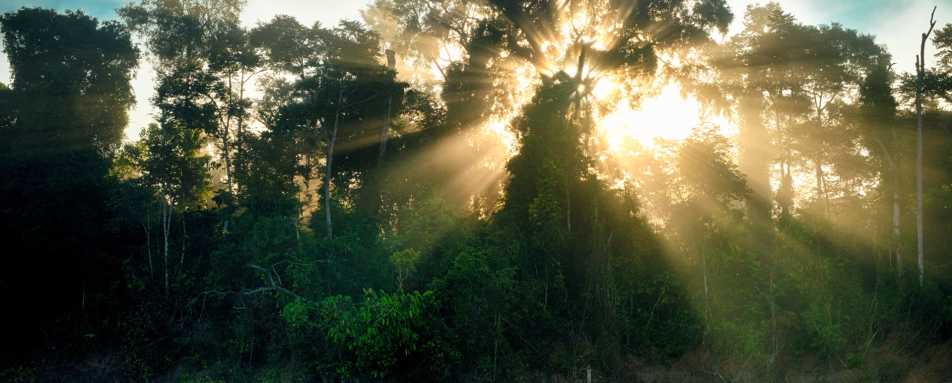 Sunrise on the Kinabatangan River - Malaysia and Borneo Family Adventure