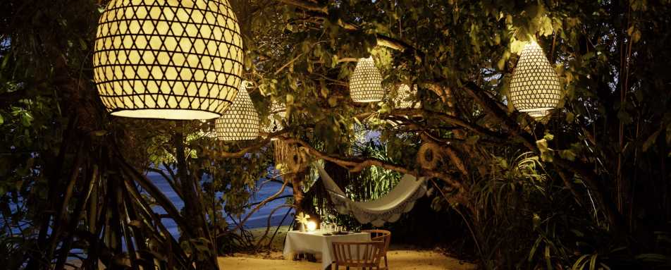 Jungle dining 