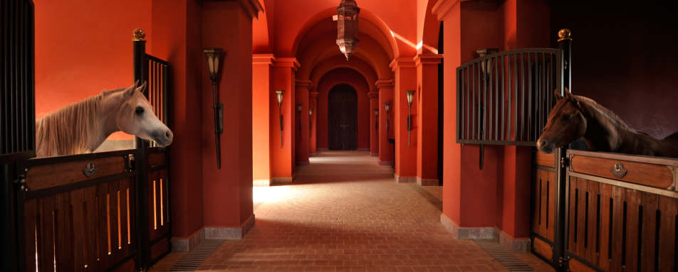 Stables - Selman