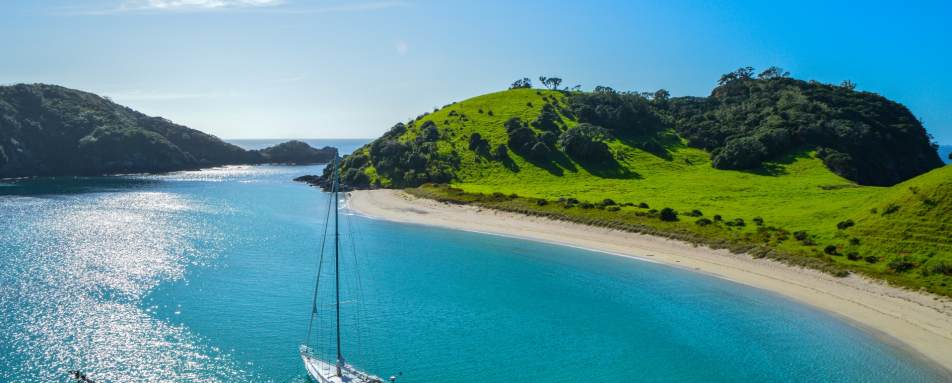The Bay of Islands 