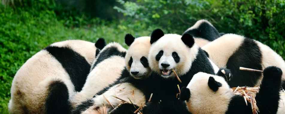 Chengdu