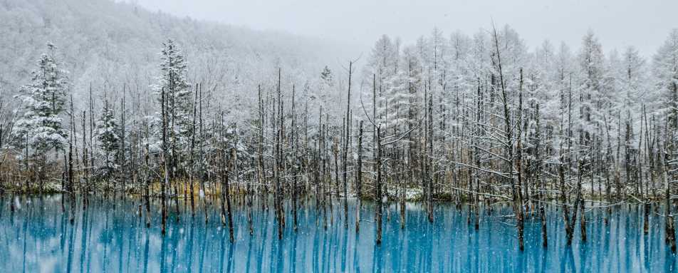 Winter