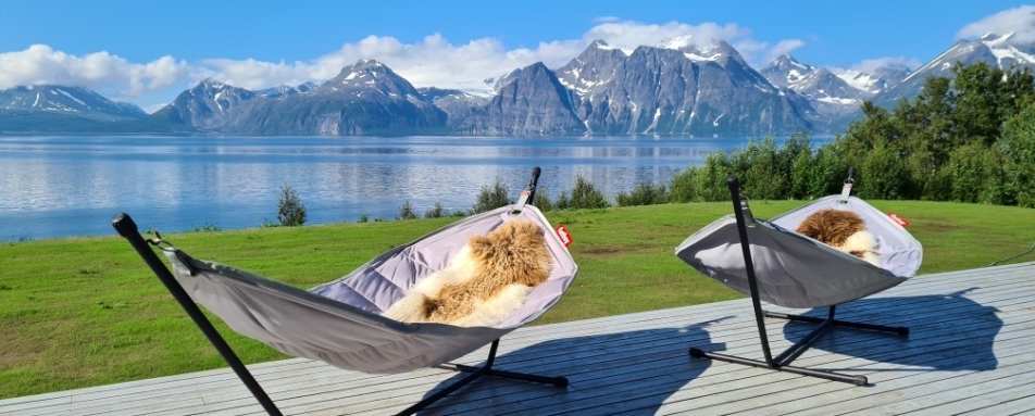 Hammocks 