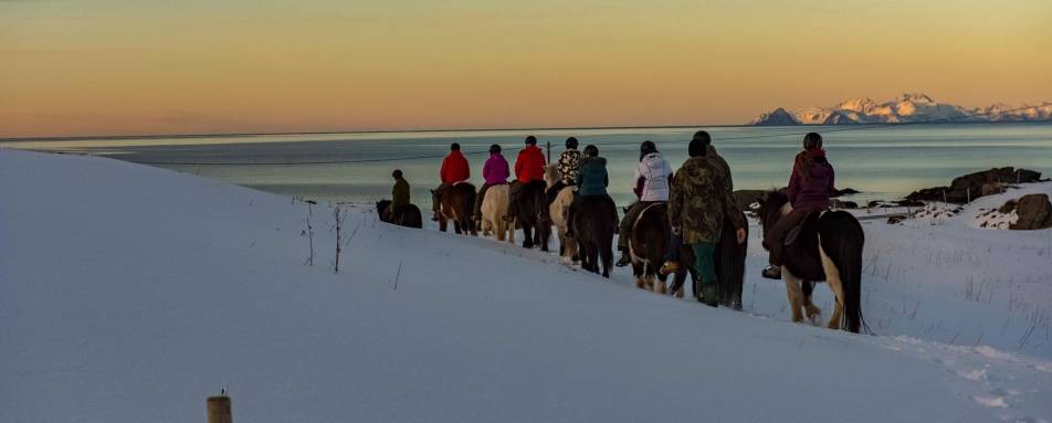 Horse riding - Svinøya Rorbuer