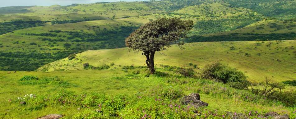 Salalah 