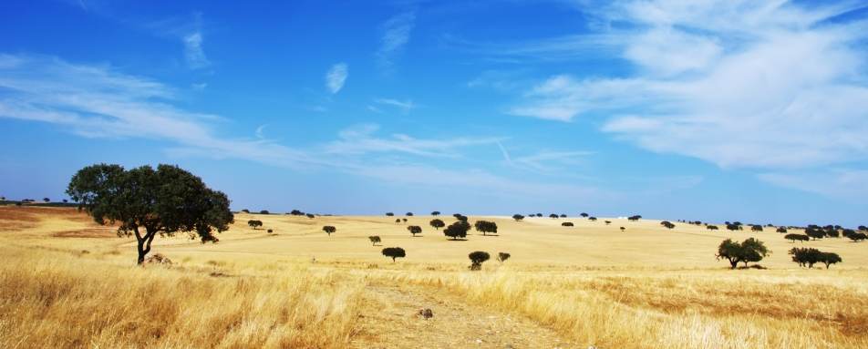 Alentejo - Discover Alentejo and Andalucia