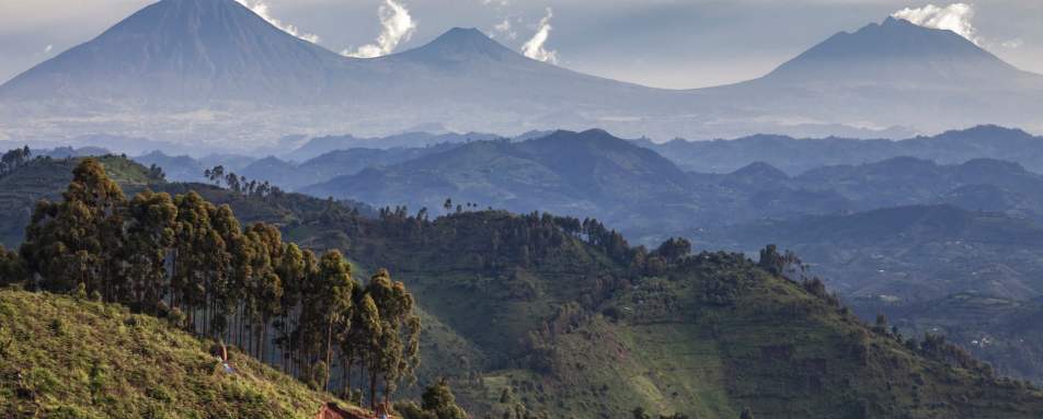 Volcanoes National park - Highlights of Rwanda