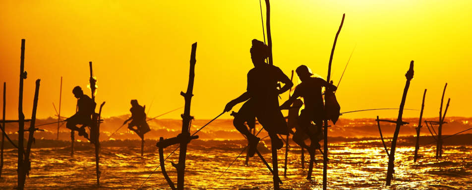 Fisherman on Stilts on South Coast  