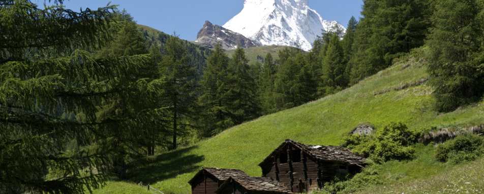 Matterhorn View 