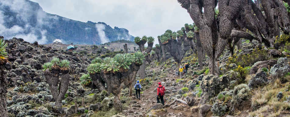 Kilimanjaro Climb Lemosho Route