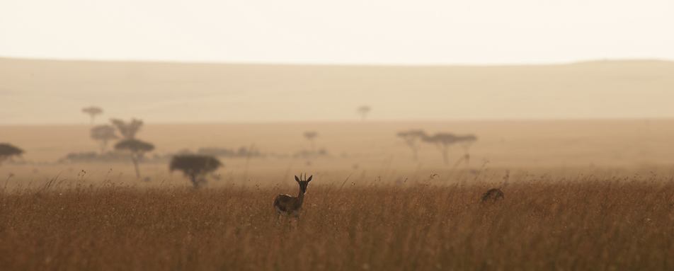 Rolling savannah plains - Mkombe's House at Lamai