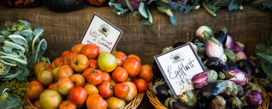 Farmers Market - Gourmet California 