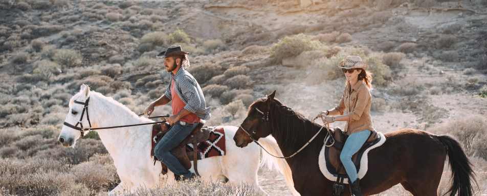 Horse Riding 