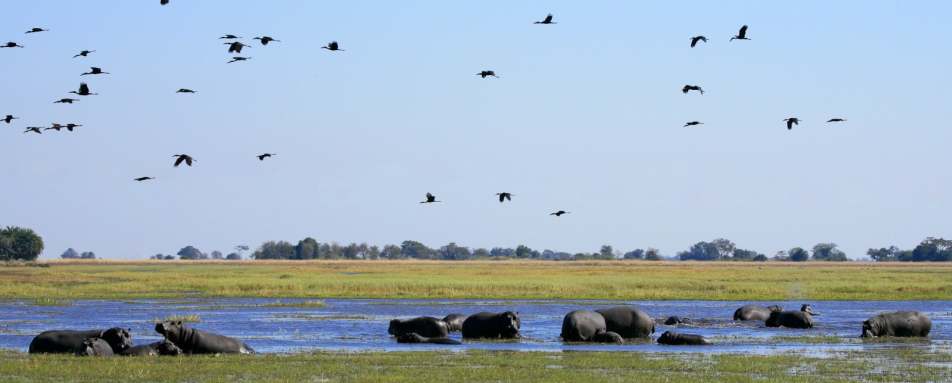 Shumba Camp