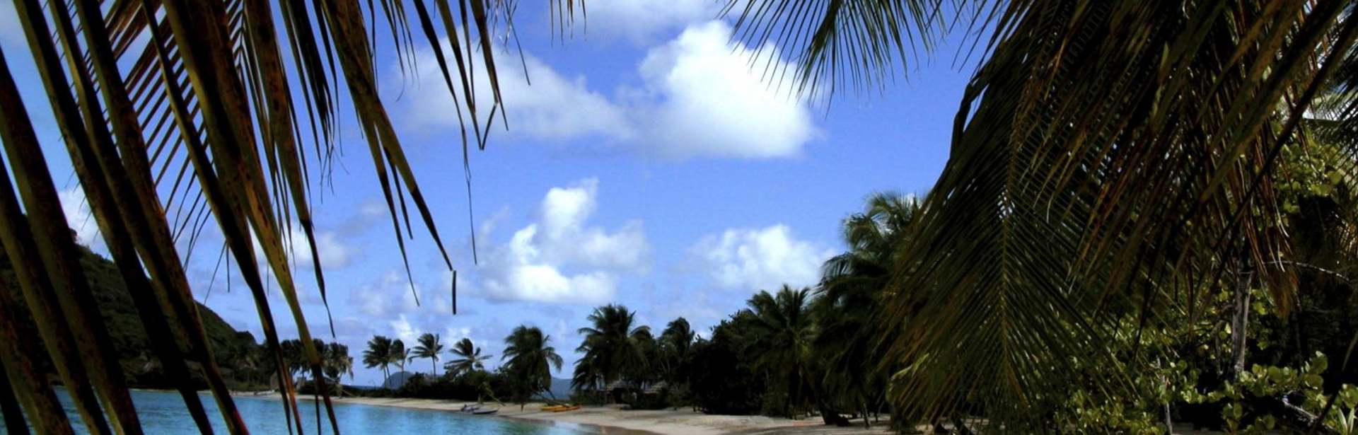  Plan your St Vincent & Grenadines trip today