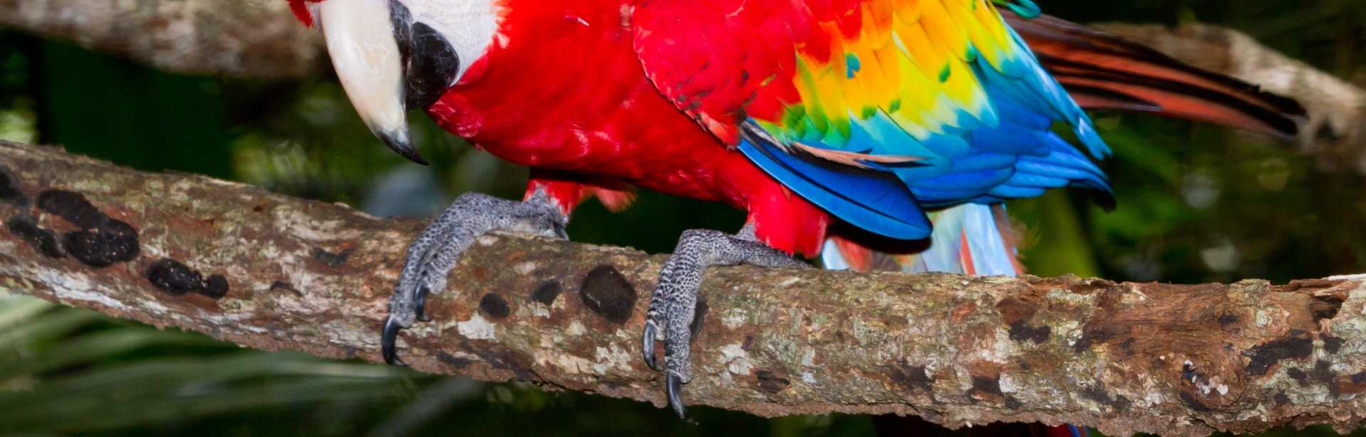 Family Fun in Guatemala & Belize 