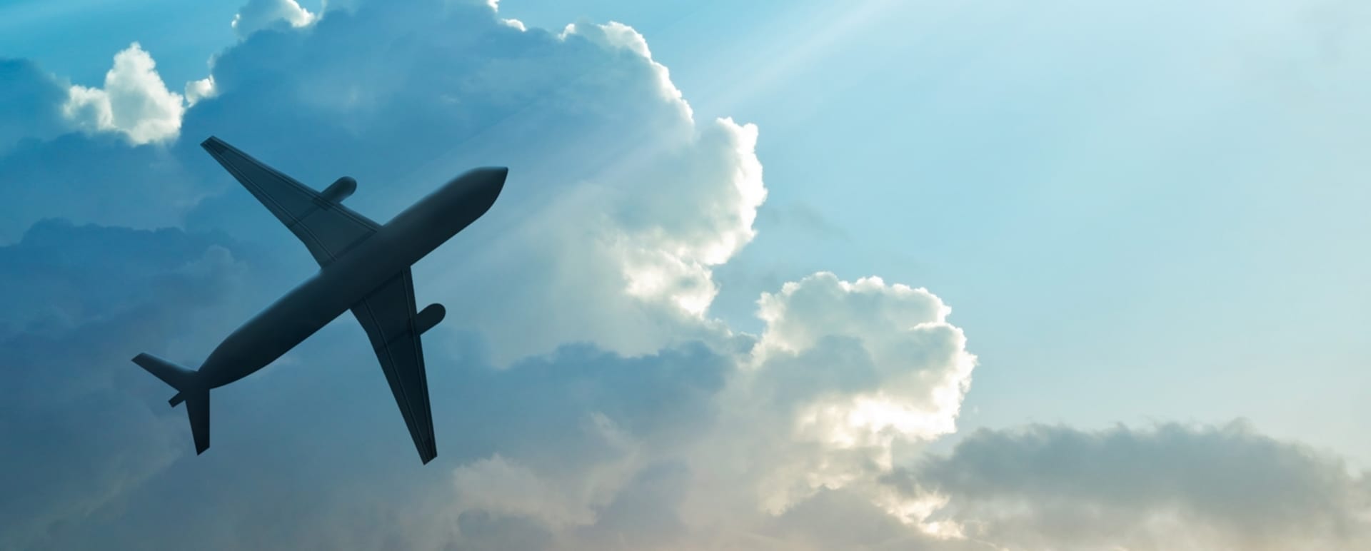 Airline Partners