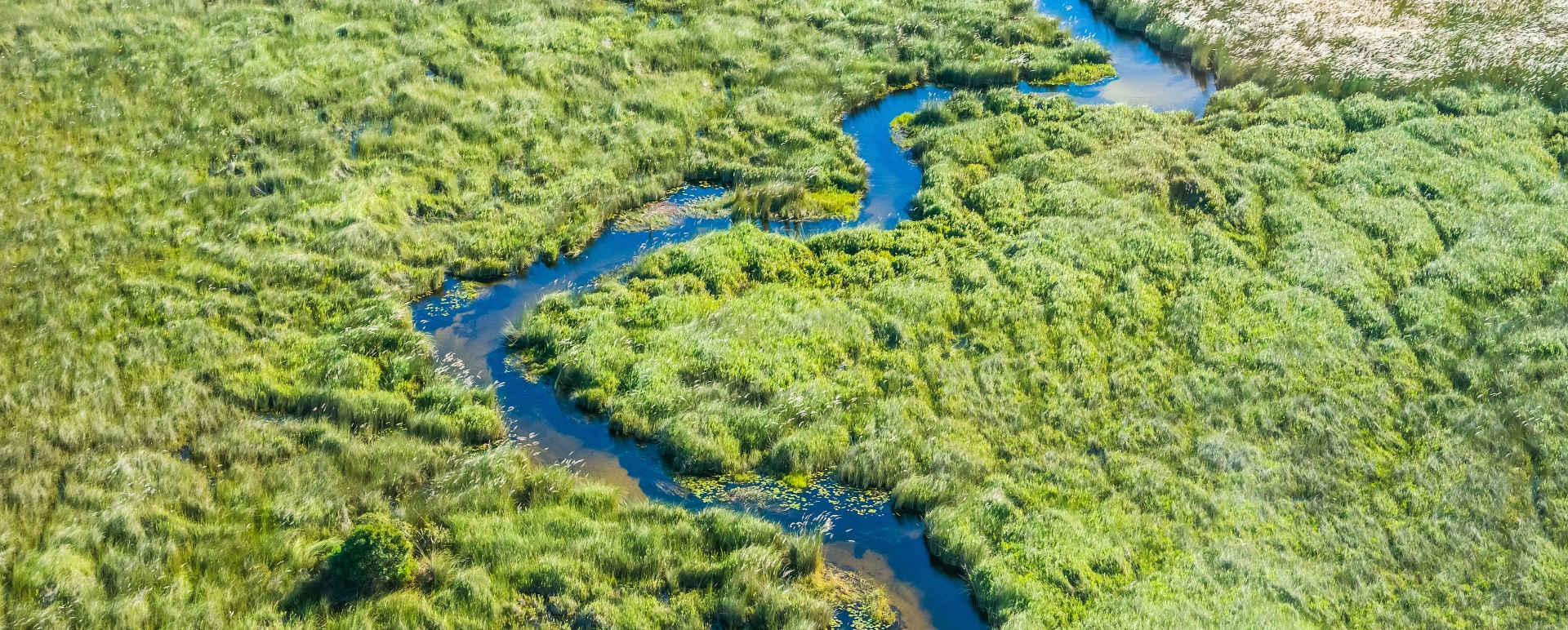 Okavango Delta and Moremi