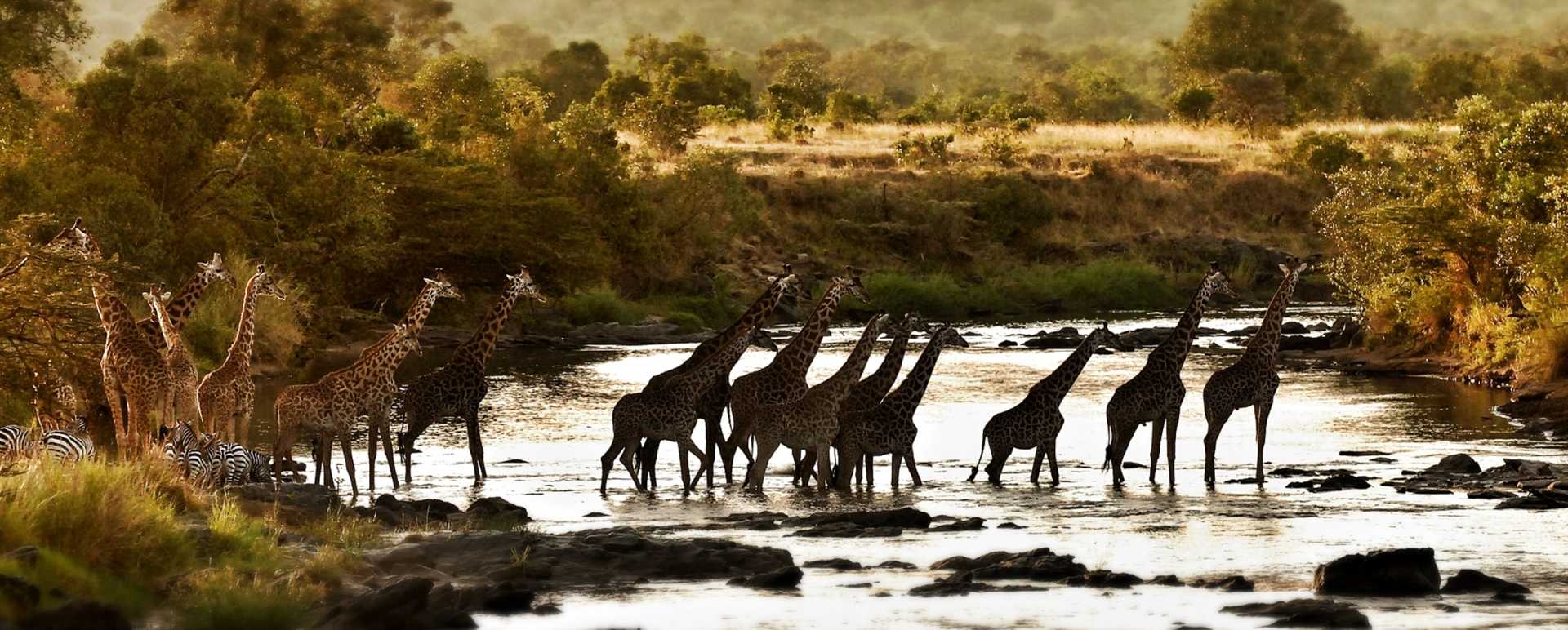 Maasai Mara and Southern Kenya