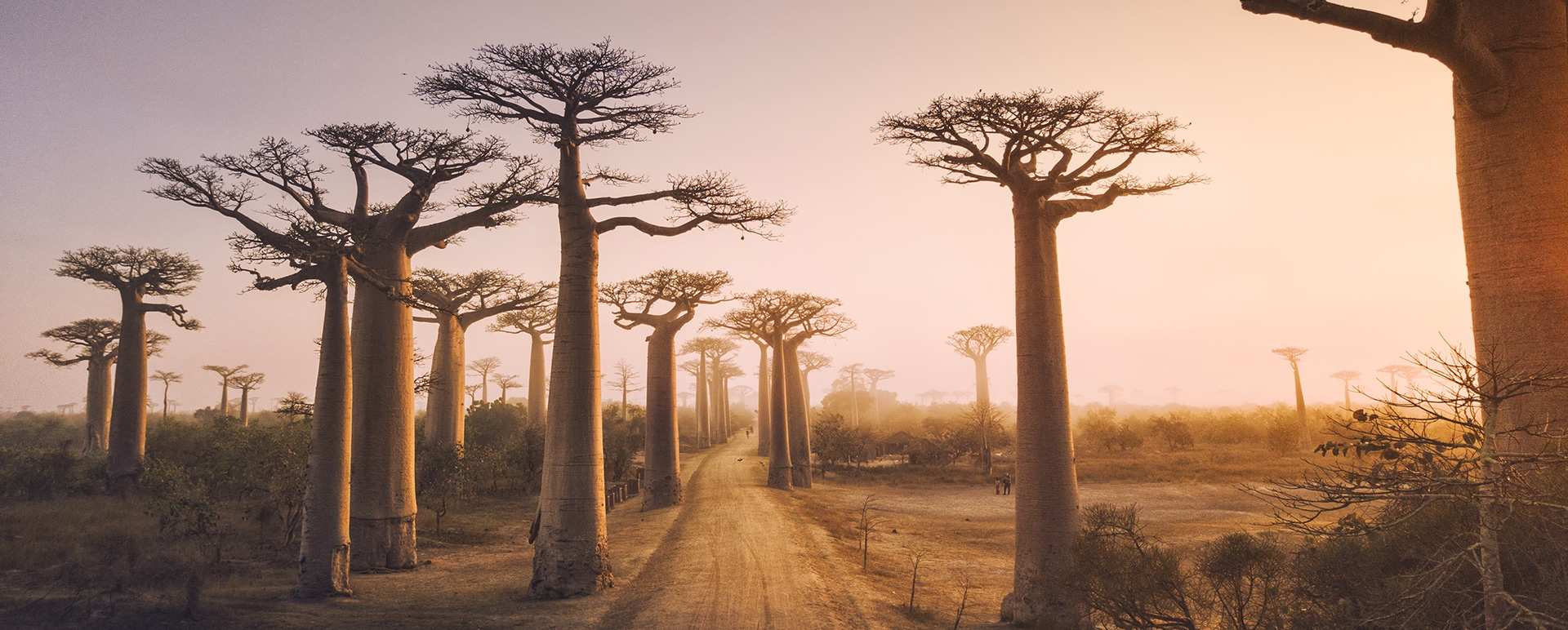 Madagascar
