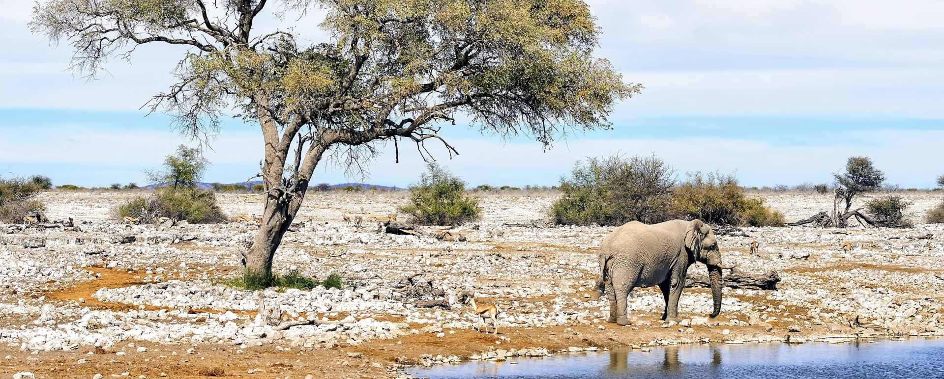 Etosha