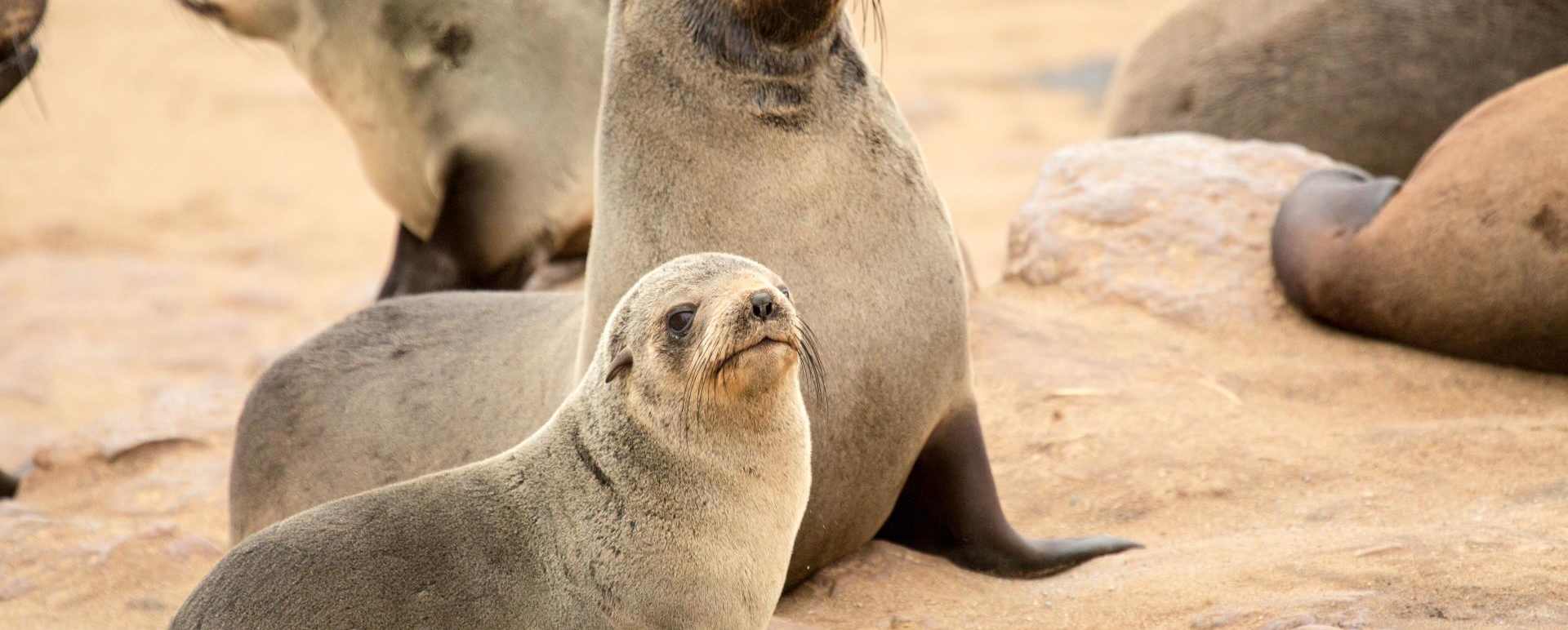 Swakopmund